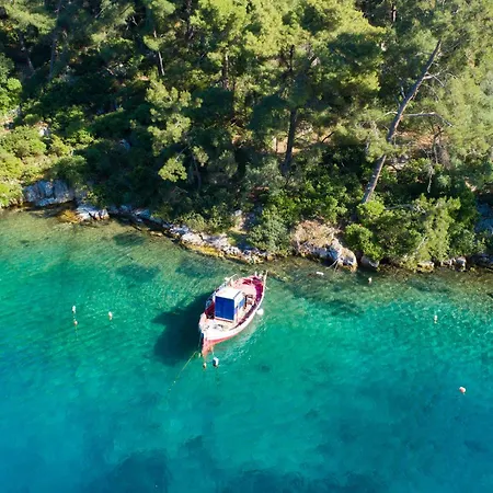 Thodoros Apartment *